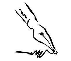 pioro