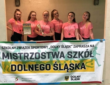 aerobik braz 2019
